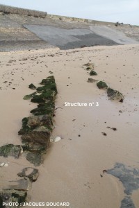 Ars - Chemin de pierres - Digue de la Loge du Gué - Digue de la Loge du Guet - Traces de digue - Explications Jacques Boucard - janvier 2016