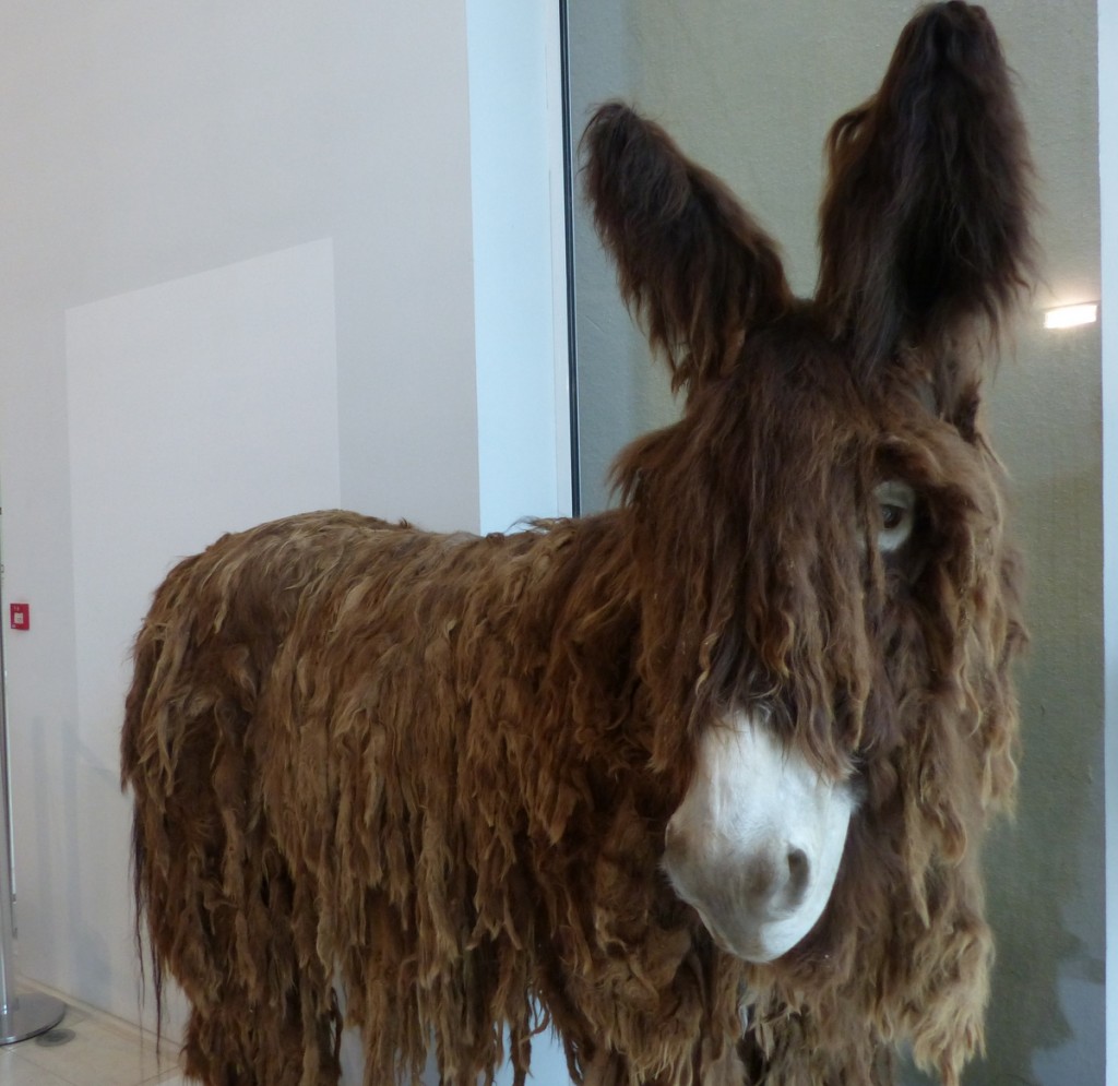 Musée Ernest Cognaq - Expo - 6 avril 2016