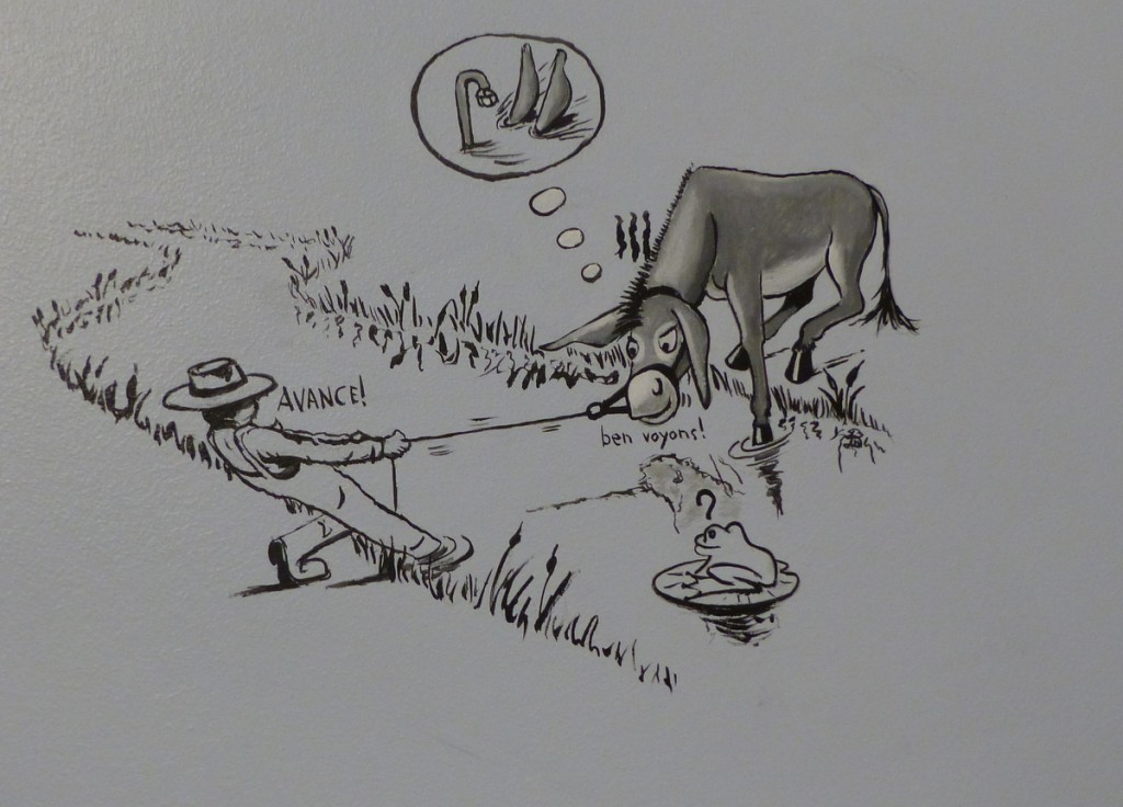 Musée Ernest Cognaq- Expo ânes - 6 avril 2016