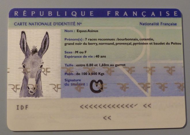 Musée Ernest Cognaq- Expo ânes - 6 avril 2016