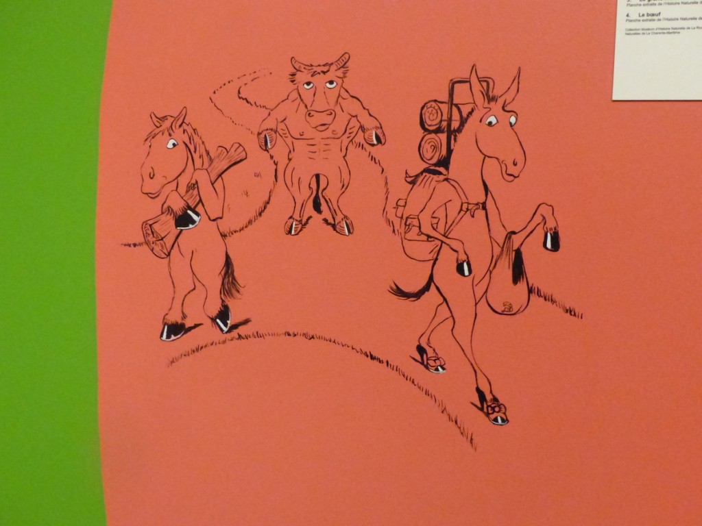 Expo Ane-en-Ré - Musée Ernest Cognaq