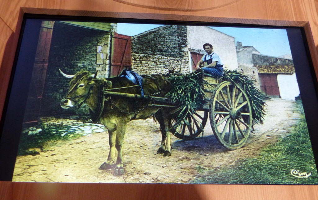 Musée Ernest Cognaq - Expo - 6 avril 2016