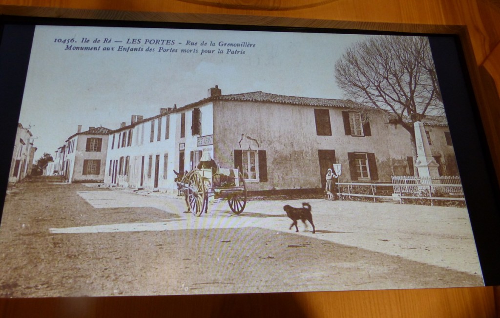 Musée Ernest Cognaq - Expo ânes - 6 avril 2016