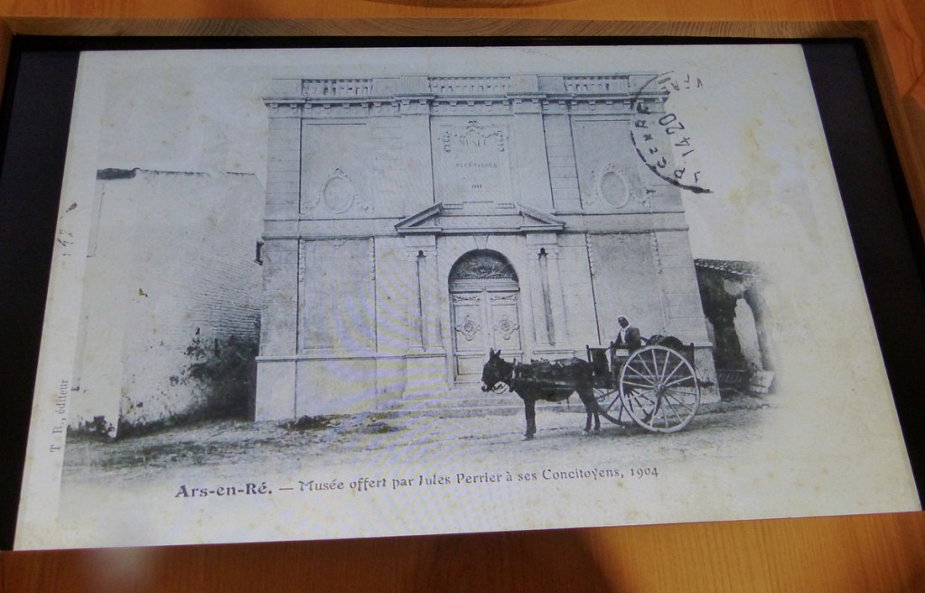 Musée Ernest Cognaq - Expo ânes - 6 avril 2016