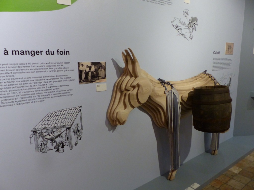 Expo Ane-en-Ré - Musée Ernest Cognaq