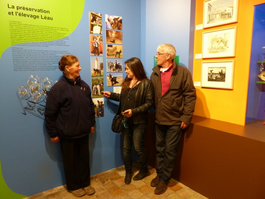 Musée Ernest Cognaq - Expo ânes - 6 avril 2016