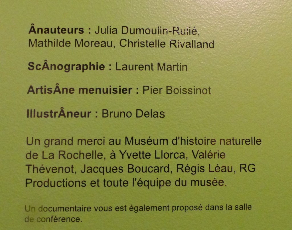 Musée Ernest Cognaq - Expo ânes - 6 avril 2016