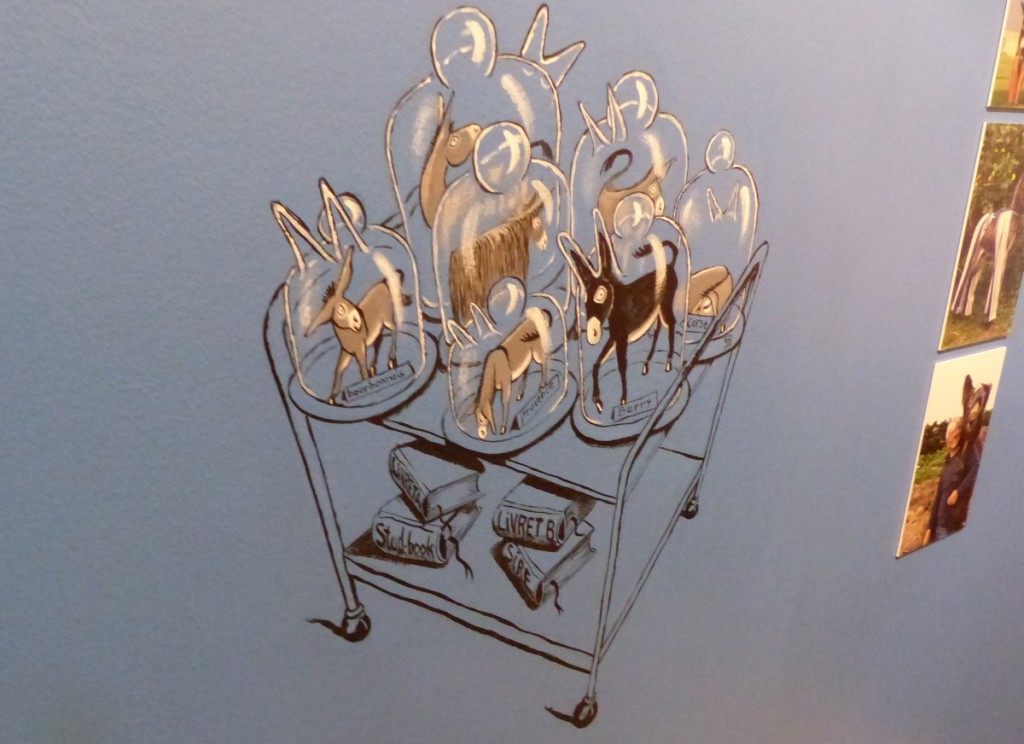 Expo Ane-en-Ré - Musée Ernest Cognaq