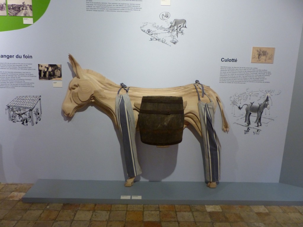 Expo Ane-en-Ré - Musée Ernest Cognaq