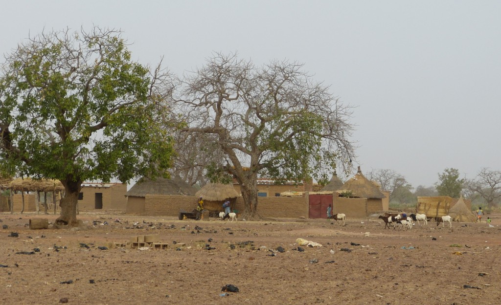 Arbollé - Burkina Faso