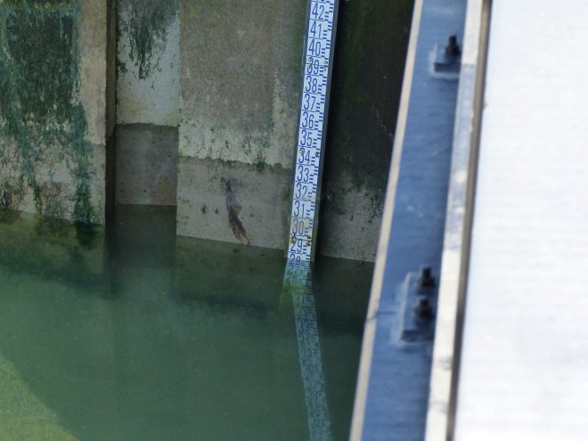 Porte de La Flotte - Essais de fermeture de la porte - 30 mars 2017