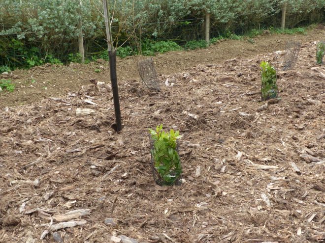 Pointe des Baleines - Canot de sauvetage - 5 avril 2017