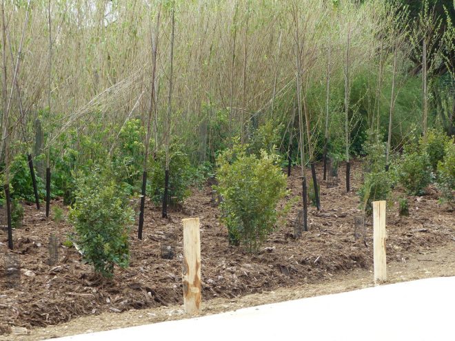 Pointe des Baleines - Canot de sauvetage - 5 avril 2017