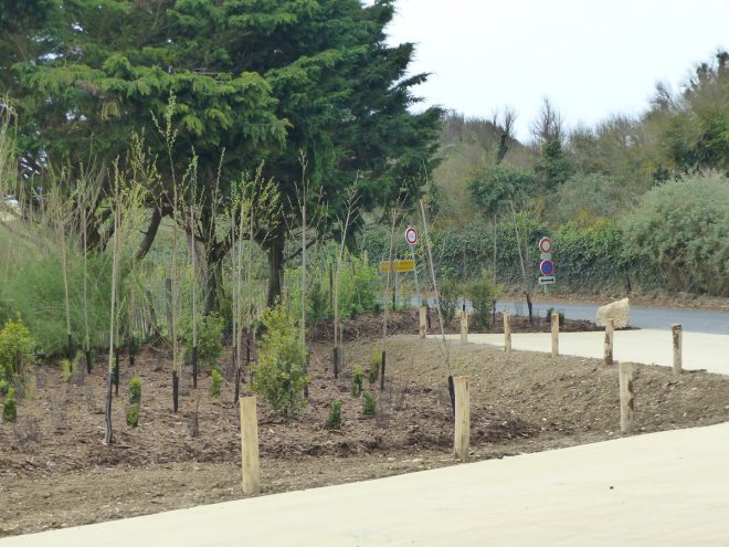 Pointe des Baleines - Canot de sauvetage - 5 avril 2017