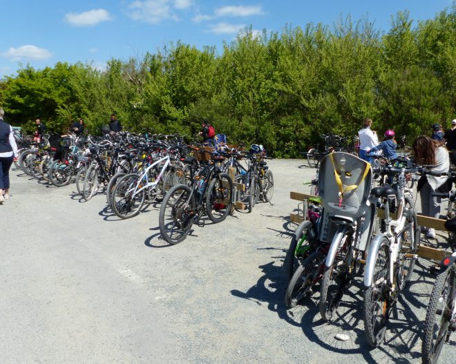 Pointe Phare des Baleines - Vélos - 18 avril 2017