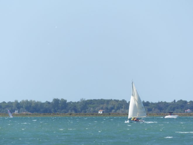 CNAR - 50e championnat Cazavant et vieux gréements - 6 août 2017