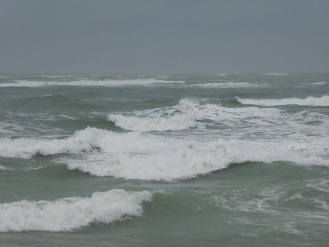 Saint-Clément des Baleines - 31 décembre 2017