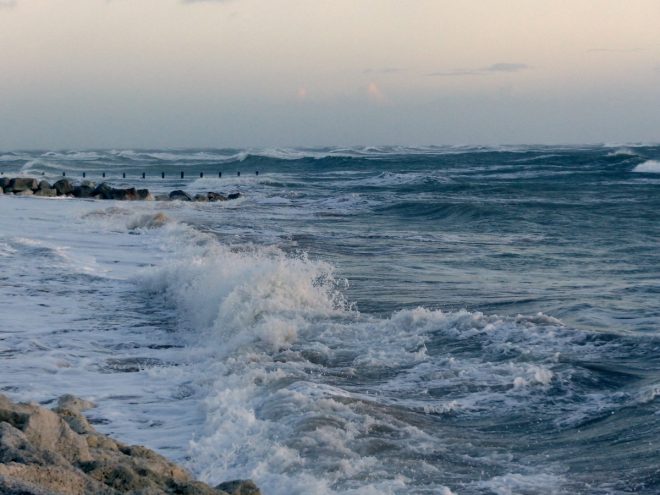 Ars-en-Ré - 1er janvier 2018