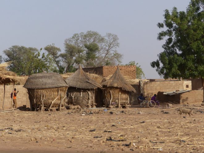 Burkina Faso - Arbollé - 13 février 2018