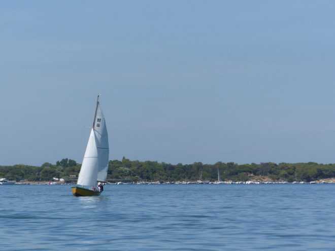 Fier d'Ars-en-Ré - Grand Cazavant bois JEANNETTE ROGER - 11 août 2018