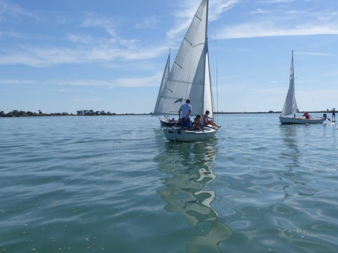 Fier d'Ars-en-Ré - Cazavant plastique P'TIT GRAIN - 11 août 2018