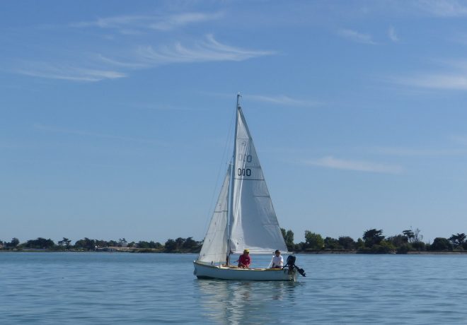 Fier d'Ars-en-Ré - Cazavant plastique PEPINO III- 11 août 2018