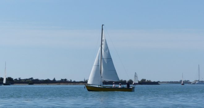 Fier d'Ars-en-Ré - Grand Cazavant bois JEANNETTE ROGER - 11 août 2018