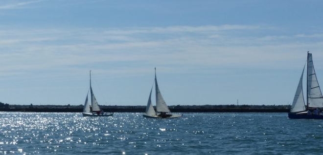 Fier d'Ars-en-Ré - Dériveur Morgann DROLE I - 11 août 2018