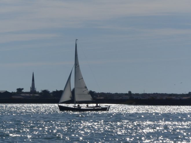 Fier d'Ars-en-Ré - Cazavant plastique P'TIT GRAIN - 11 août 2018