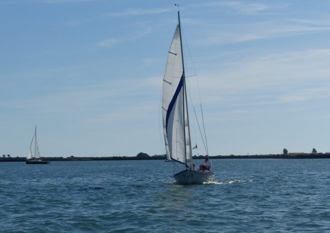 Fier d'Ars-en-Ré - Cazavant plastique P'TIT GRAIN - 11 août 2018