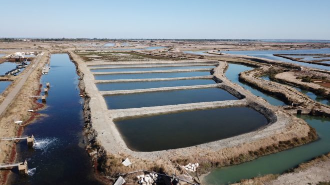 Ferme des Baleines - Photo drone - 30 juillet 2018