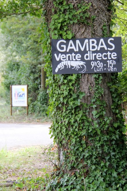Ferme des Baleines - Panneau gambas - août 2018