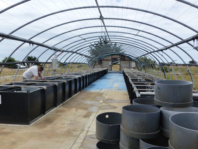 Ferme des Baleines - 30 juillet 2018