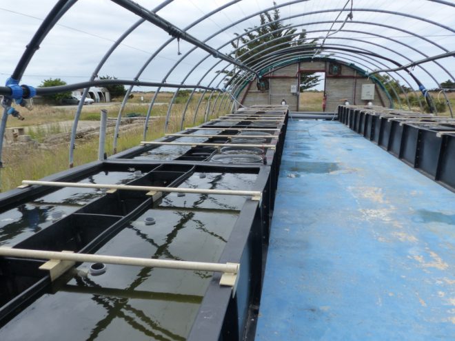 Ferme des Baleines - 30 juillet 2018