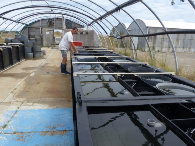 Ferme des Baleines - 30 juillet 2018