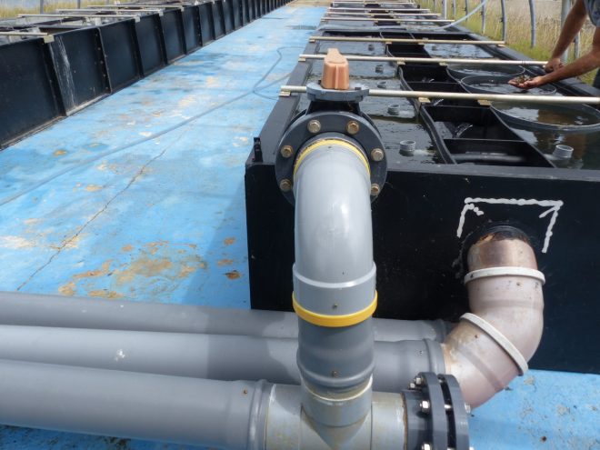 Ferme des Baleines - Installations - 30 juillet 2018