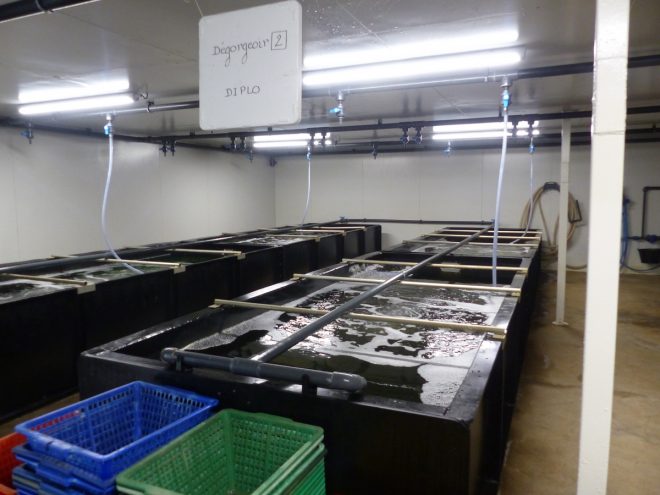 Ferme des Baleines - 30 juillet 2018