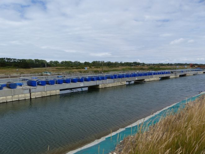 Lanternes japonaises - Ferme des Baleines - 30 juillet 2018