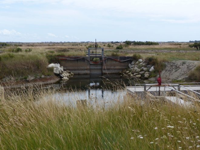 Ferme des Baleines - Ecluse - 30 juillet 2018