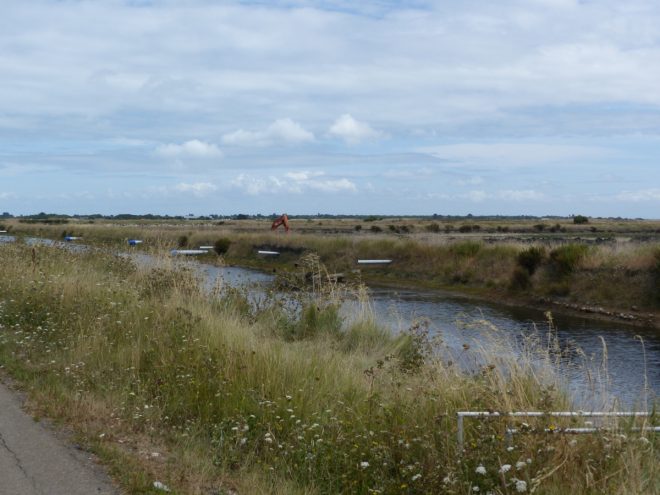 Travaux Ferme des Baleines - 30 juillet 2018