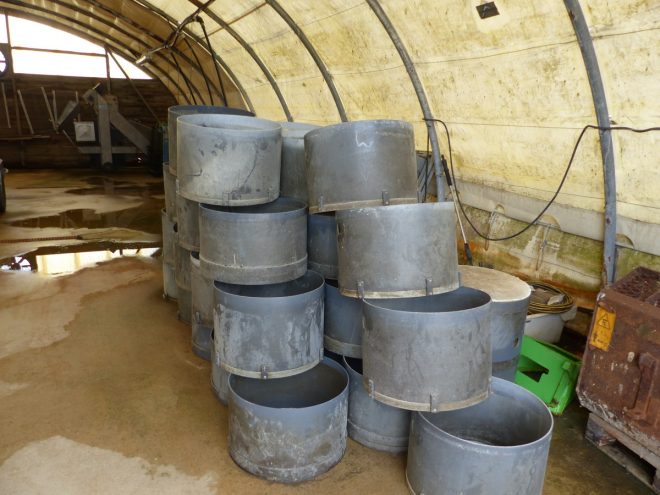 Ferme des Baleines - Tubes-tamis - 30 juillet 2018