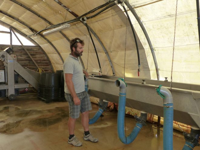 Ferme des Baleines - Tubes-tamis - 30 juillet 2018