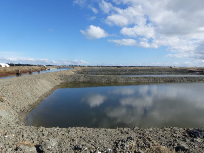 Bassins Ferme des Baleines - 16 octobre 2018