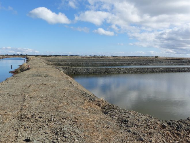 Bassins Ferme des Baleines - 16 octobre 2018
