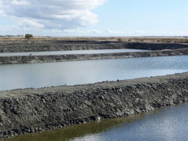Bassins Ferme des Baleines - 16 octobre 2018