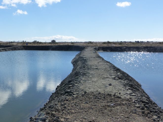 Bassins Ferme des Baleines - 16 octobre 2018