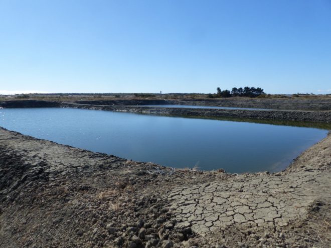 Bassins Ferme des Baleines - 16 octobre 2018
