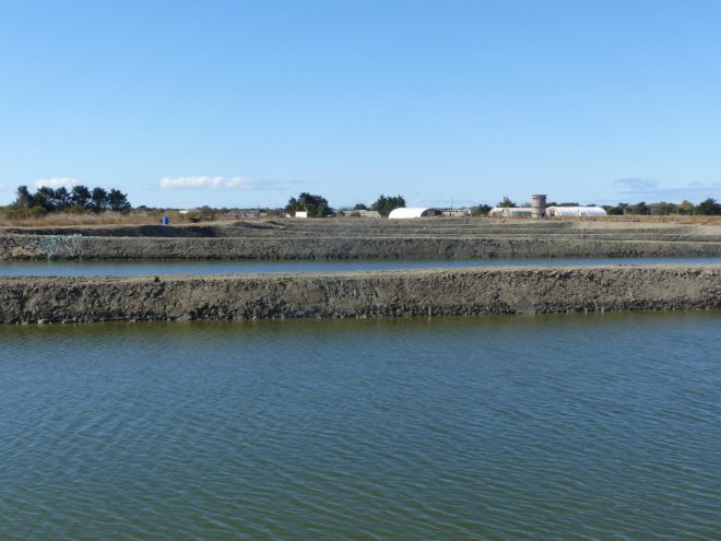 Bassins Ferme des Baleines - 16 octobre 2018