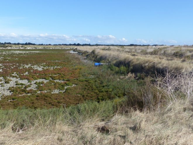 Lagune de la Ferme des Baleines - 16 octobre 2018