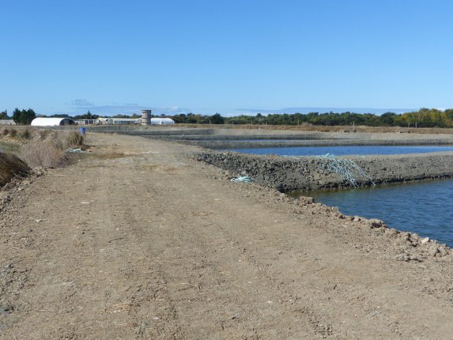 Bassins Ferme des Baleines - 16 octobre 2018